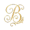 brand logo bikinsouvenir